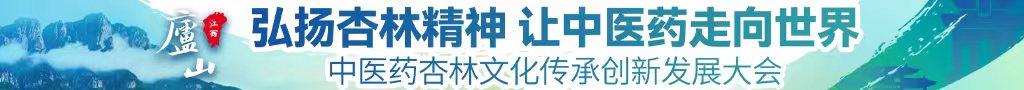 韩日操逼网中医药杏林文化传承创新发展大会